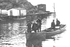 237: J V McCarthy's skiff arriving with a load of fish. J V McCarthy 2nd-left, Bill Webber  right. Leo Whalen's stage and storehouse at left, James Reddy's storehouse center.  [courtesy of Mollie McCarthy]  - J V son of Thomas McCarthy &amp;amp; Anastasia Fitzgerald; Bill son of John Webber &amp;amp; Mary Emberly
